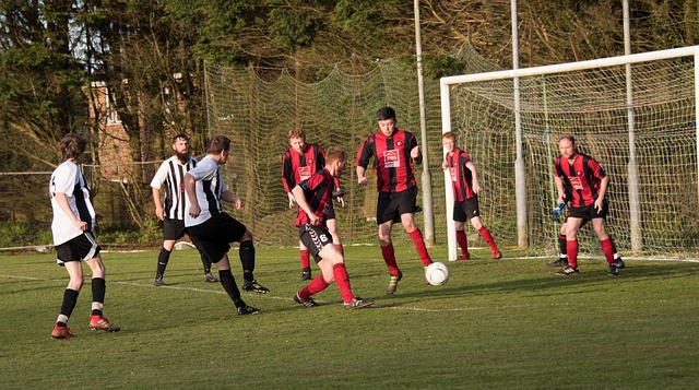 他们的核心 他们的核心