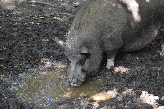 浦的史蒂文 浦的史蒂文