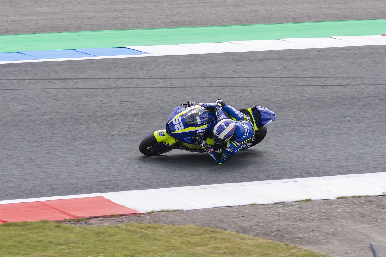 得了球迷的 得了球迷的