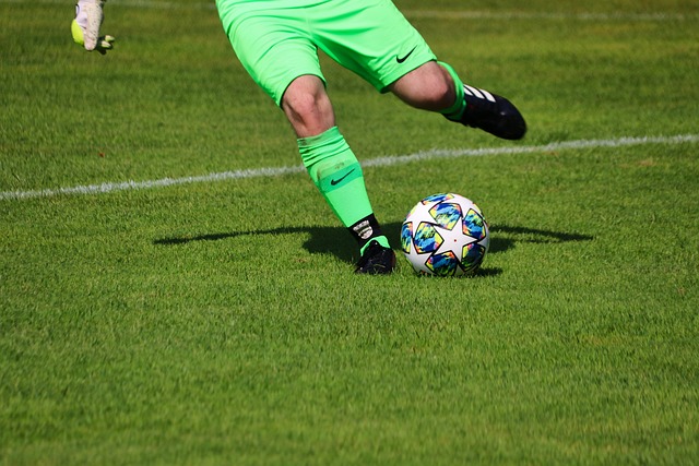 的頂級聯賽 的頂級聯賽